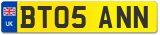 BT05 ANN