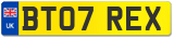 BT07 REX