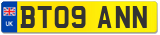 BT09 ANN