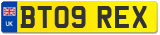 BT09 REX