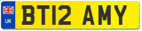 BT12 AMY