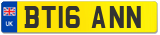 BT16 ANN