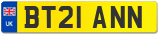 BT21 ANN