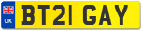 BT21 GAY
