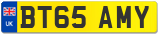 BT65 AMY