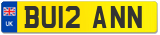 BU12 ANN