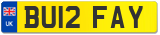 BU12 FAY