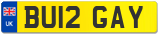 BU12 GAY