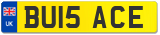BU15 ACE