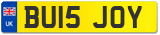 BU15 JOY