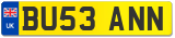 BU53 ANN