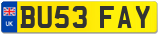 BU53 FAY