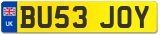 BU53 JOY