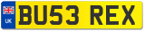 BU53 REX