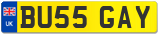 BU55 GAY