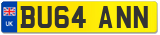 BU64 ANN