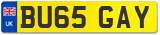 BU65 GAY