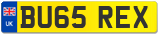 BU65 REX