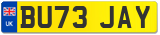 BU73 JAY