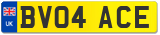 BV04 ACE