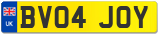 BV04 JOY