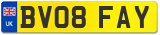 BV08 FAY