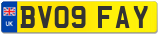 BV09 FAY