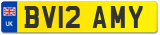 BV12 AMY