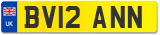 BV12 ANN