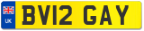 BV12 GAY