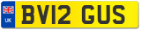 BV12 GUS