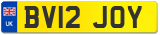 BV12 JOY
