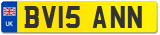 BV15 ANN