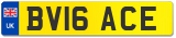 BV16 ACE