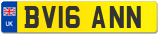 BV16 ANN