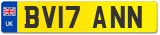 BV17 ANN