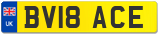 BV18 ACE