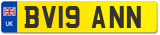 BV19 ANN