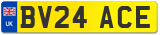 BV24 ACE
