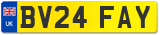 BV24 FAY
