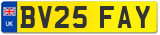 BV25 FAY