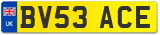 BV53 ACE