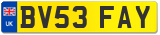 BV53 FAY