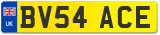 BV54 ACE