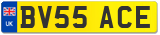 BV55 ACE