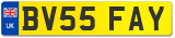 BV55 FAY