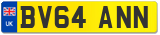 BV64 ANN