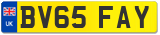 BV65 FAY