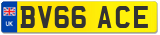 BV66 ACE