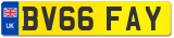 BV66 FAY